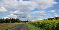 z=Puur Hageland  16-9-2017_ (212)